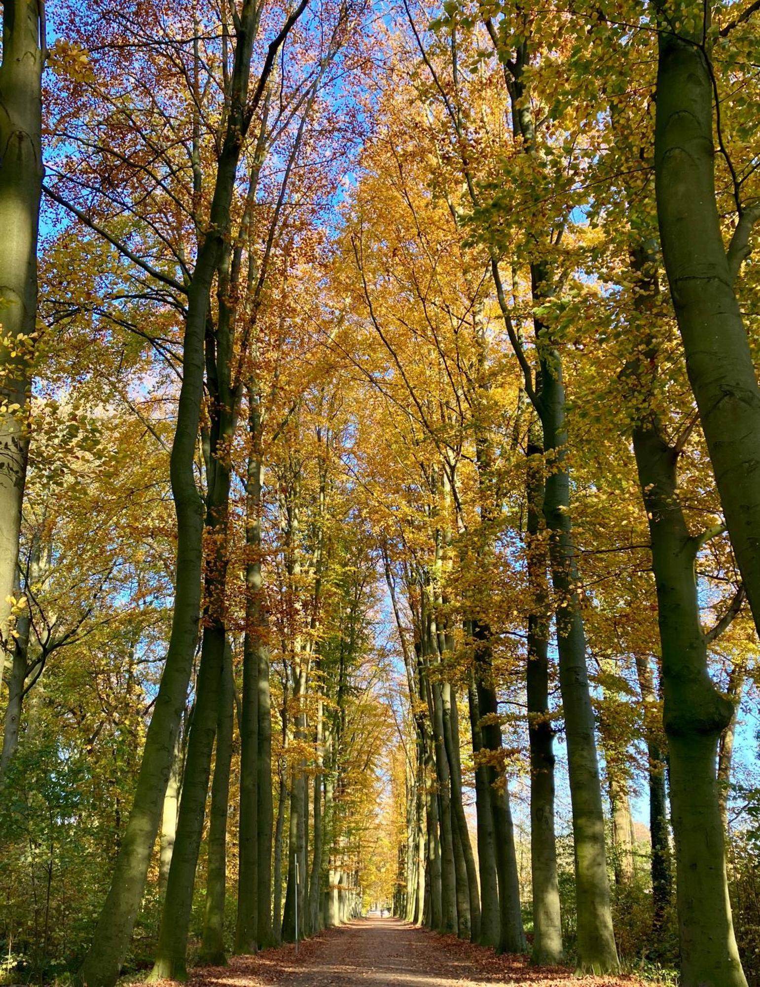 Waerdenhoeve Waardenburg Eksteriør billede